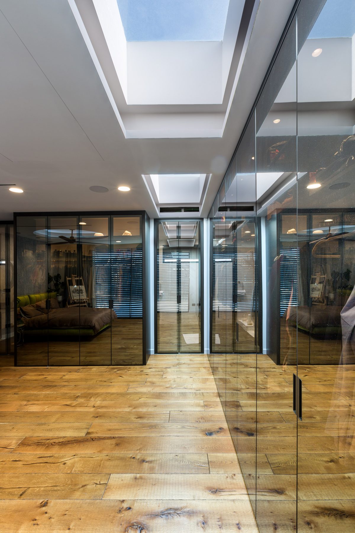 Interior Glass Doors & Partitions for Homes system